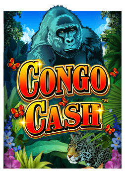 ผู้หญิง ติดการพนัน ควรรู้ก่อนลงสนามสล็อตจริงจัง!